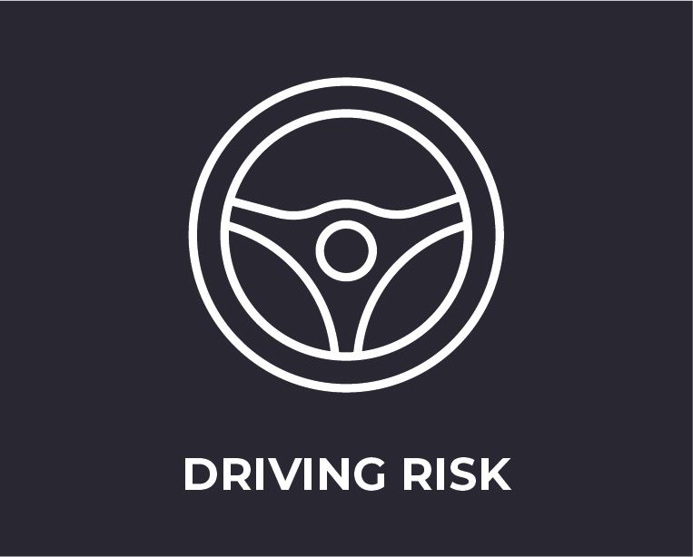 Driving Risk